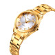 Skmei 1620GD Gold