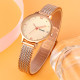 Skmei 1874RG Rose Gold