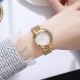 Skmei 1979GD Gold