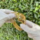 Forsining 8250 Gold-Gold