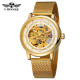 Forsining 8173 Gold-White Mesh