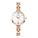 Skmei 1225RG Rose Gold