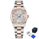 Pagani Design PD-1794M Silver-Rose Gold-White