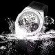 Forsining 8289 Silver-Black