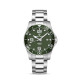 Pagani Design PD-1702 Silver-Green