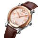 Skmei 9265BN Brown