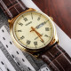 Casio LTP-V006GL-9B