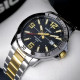 Casio MTP-VD01SG-1B